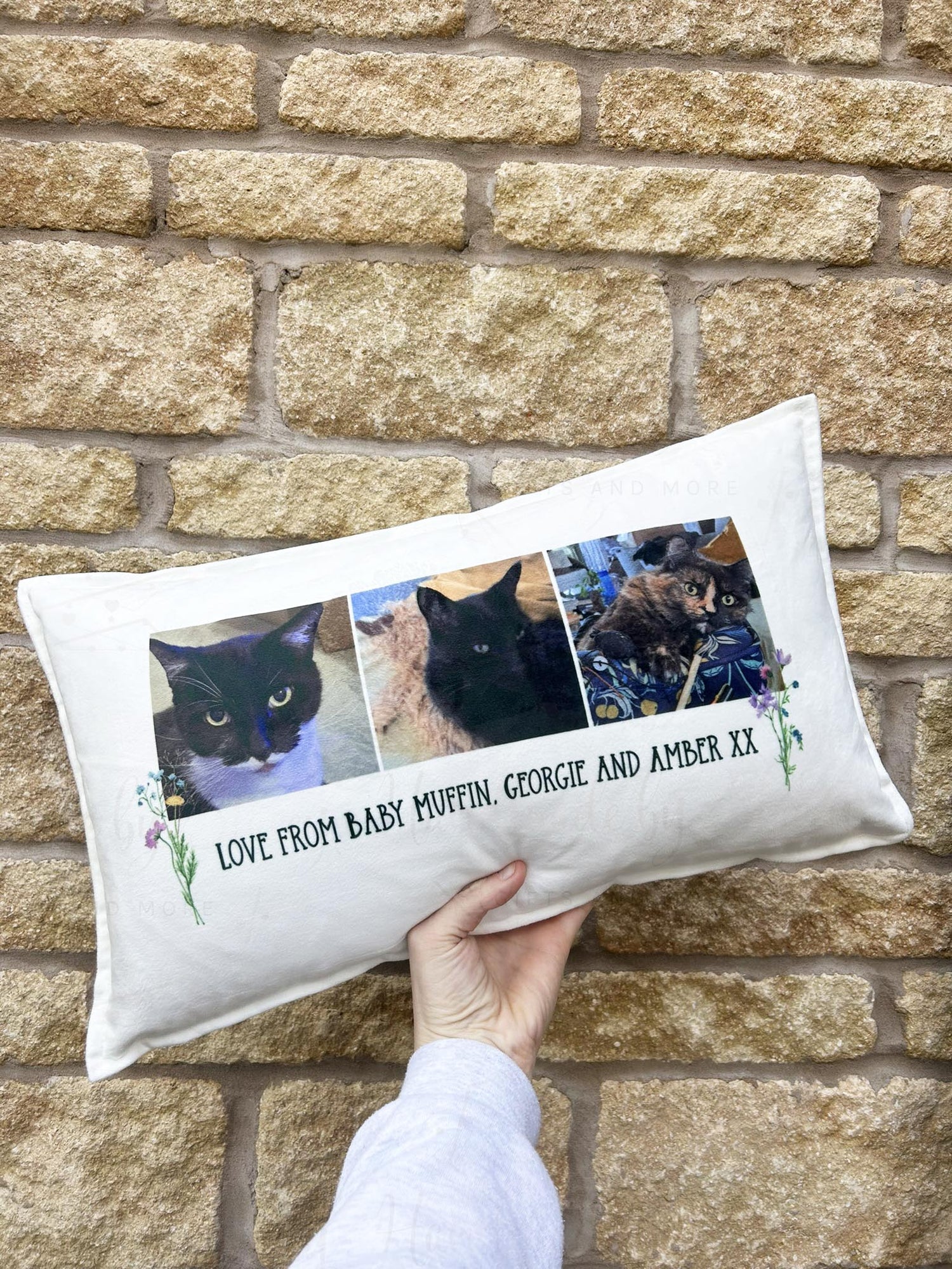 CUSHIONS